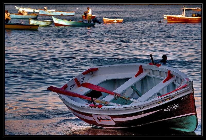 Alexandria Day Trip From Cairo