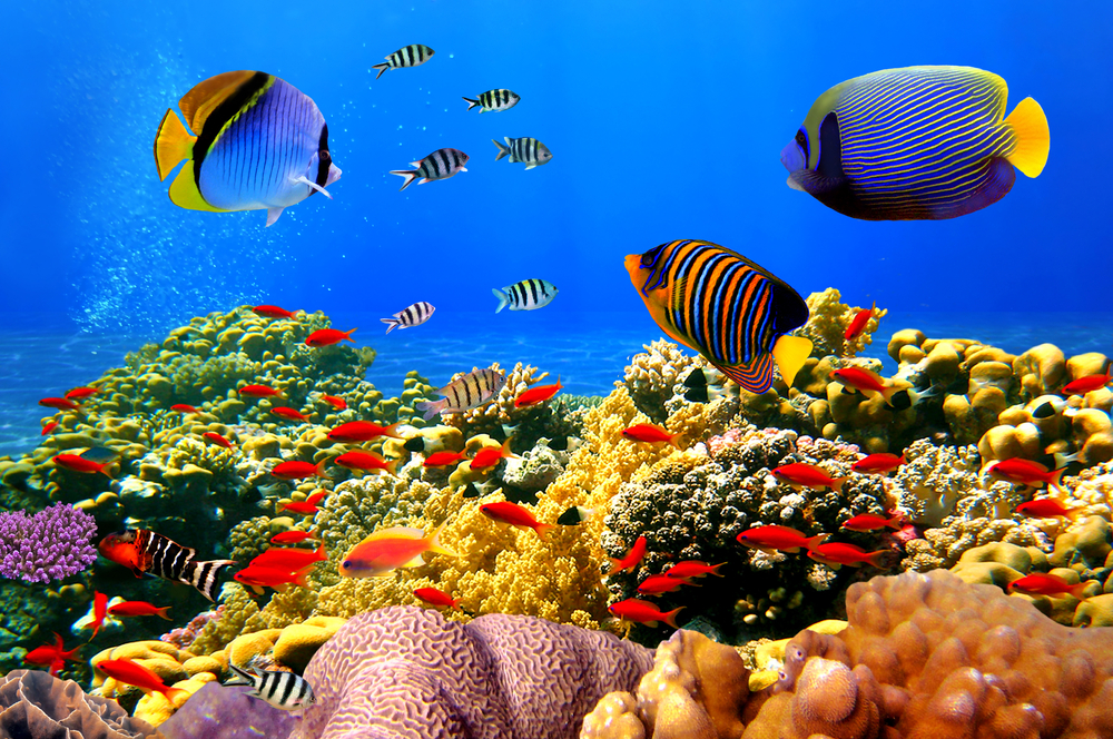 Hurghada