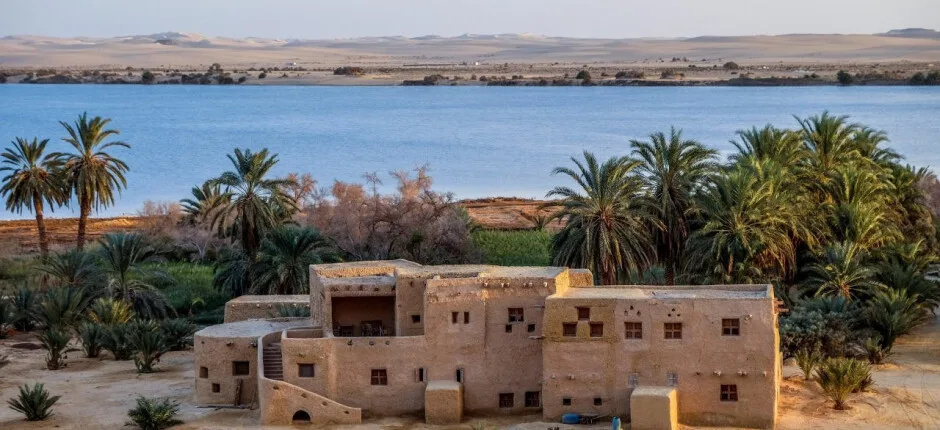 Experience an Adventure in the Great Sand Sea