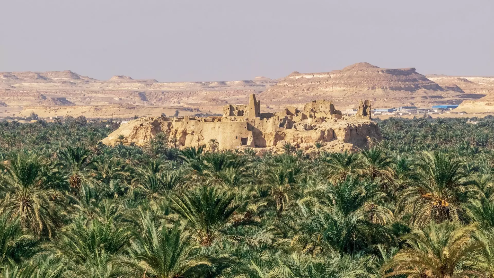 How Many Days Do You Need in Siwa Oasis?