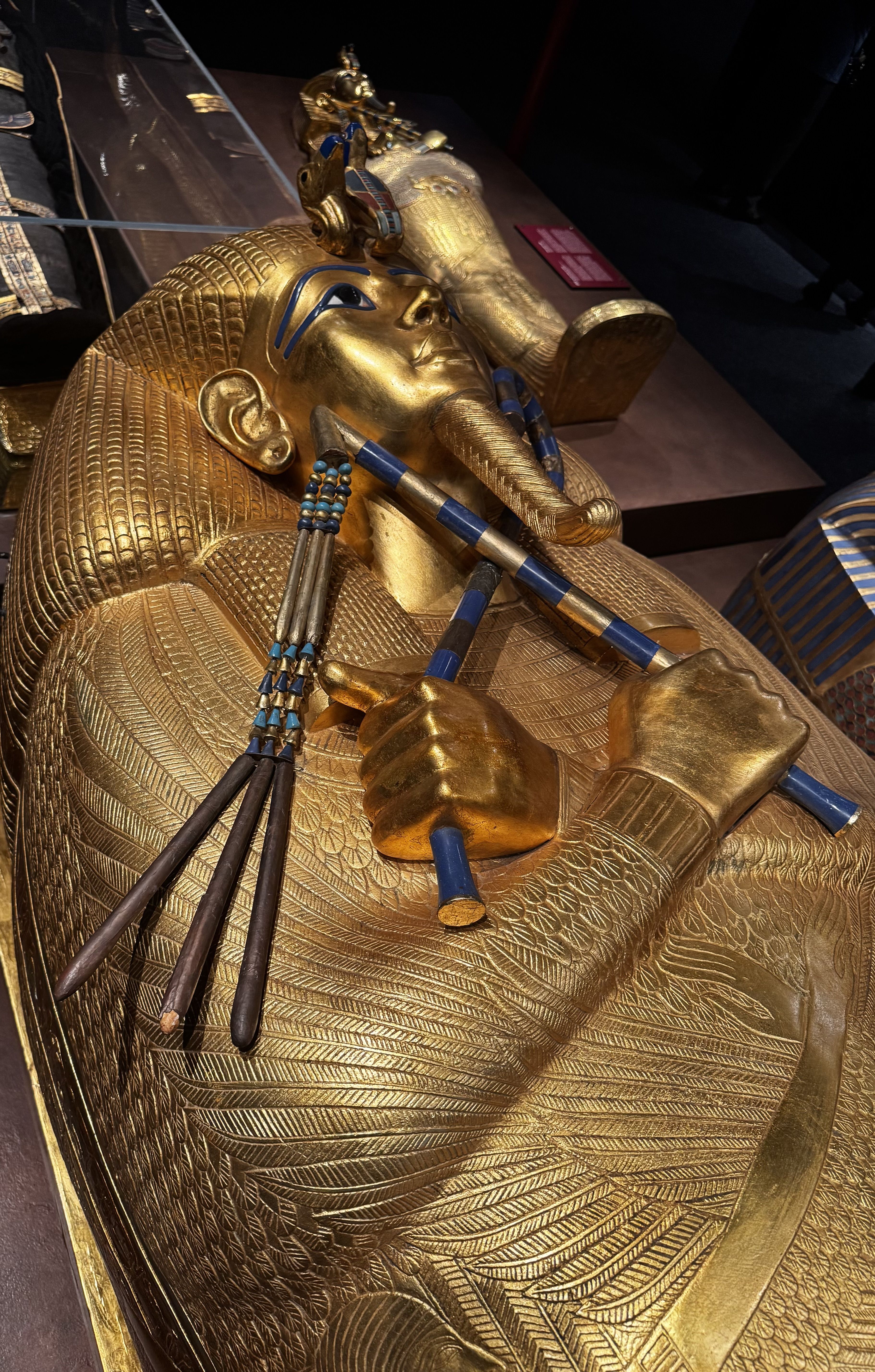 What Carter Found: Over 5,000 Treasures