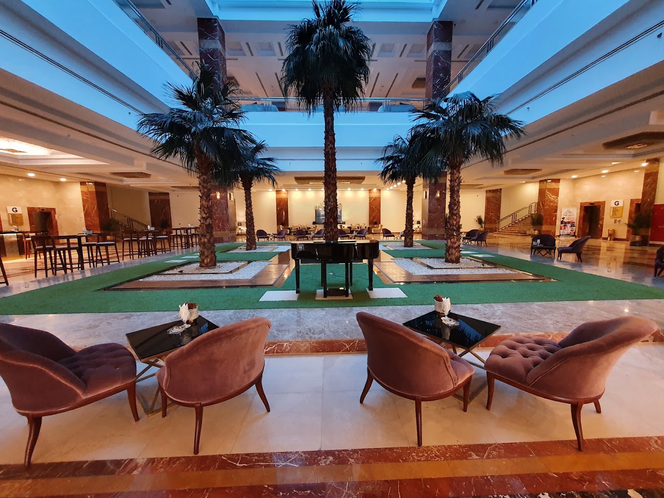 tolip garden hotel or similar